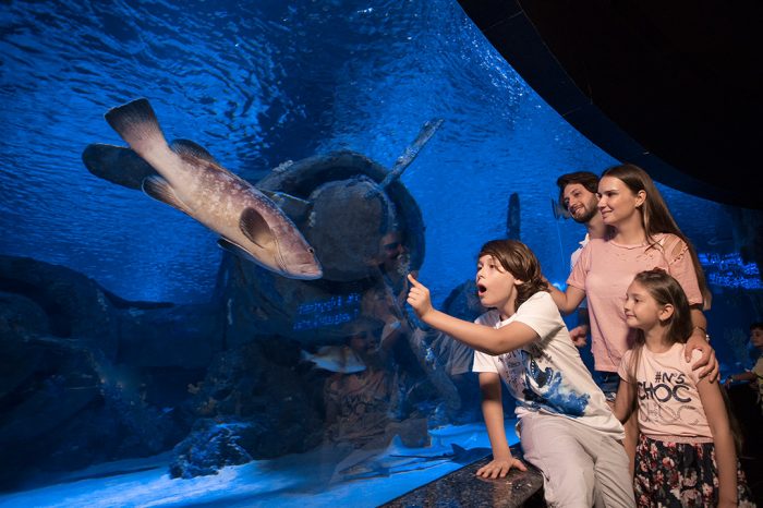 Antalya Aquarium